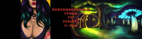 хмурый Арсеньев