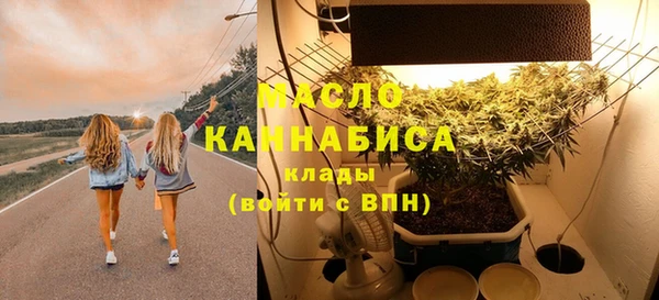 хмурый Арсеньев