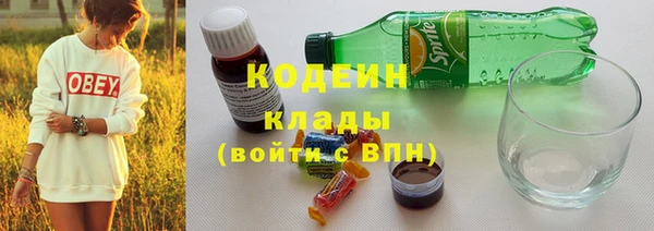 хмурый Арсеньев