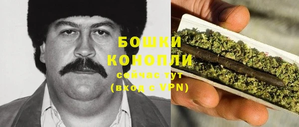 хмурый Арсеньев